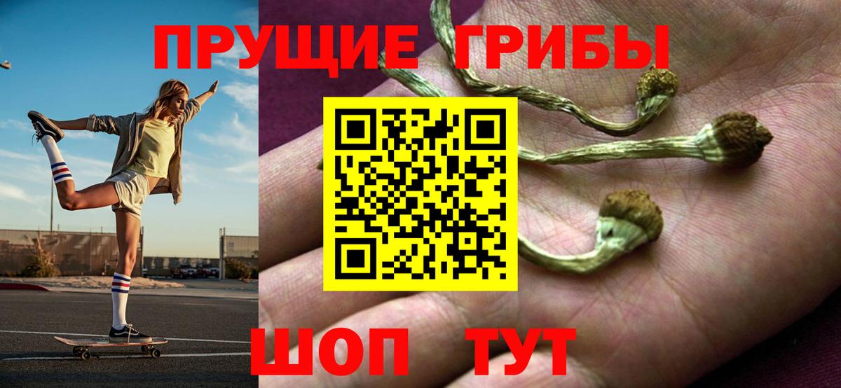 Галлюциногенные грибы Cubensis Воркута